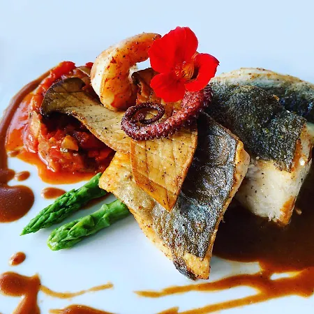 Hohly 3* Löwenstein