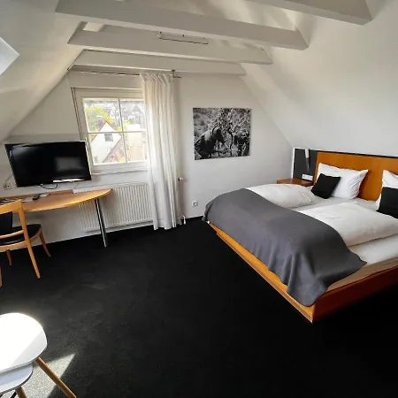 Hotel Gasthof Hohly 3*